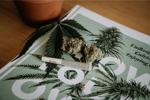 cannabis-dispensary